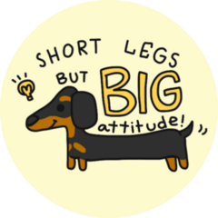 Big Attitude Dachshund Sticker