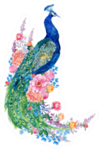Big Bird And Peacock Flowers Hand Painting Sticker