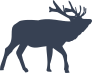 Big Deer Sticker