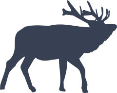 Big Deer Sticker