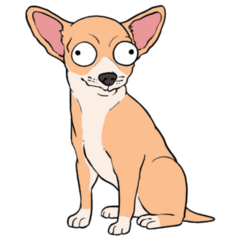 Big Eye Chihuahua Sticker