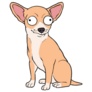 Big Eye Chihuahua Sticker