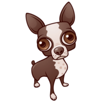 Big Eyed Chihuahua Sticker
