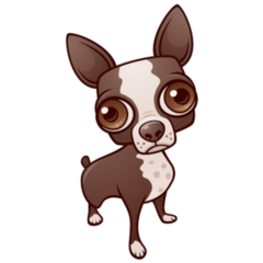 Big Eyed Chihuahua Sticker