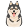 Big Eyed Husky Sticker