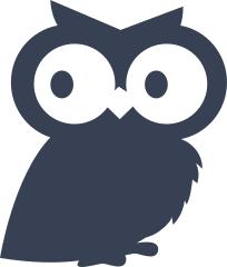 Big Eyed Owl Sticker