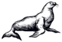 Big Fat Sea Lion Creature Sketch Sticker