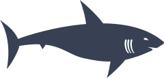 Big Fin Shark Sticker