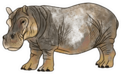 Big Hippopotamus Hand Drawn Illustration Sticker