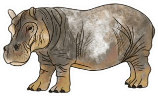 Big Hippopotamus Hand Drawn Illustration Sticker