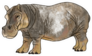 Big Hippopotamus Hand Drawn Illustration Sticker