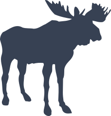Big Moose Sticker