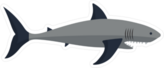 Big Mouth Shark Sticker