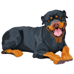 Big Rottweiler Sticker
