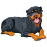 Big Rottweiler Sticker