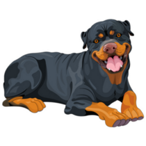 Big Rottweiler Sticker