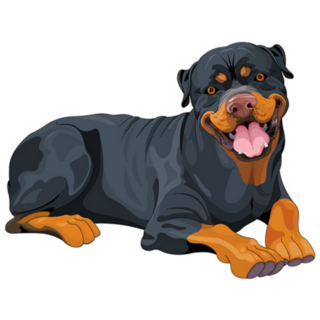 Big Rottweiler Sticker