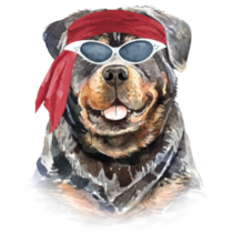 Biker Rottweiler Sticker