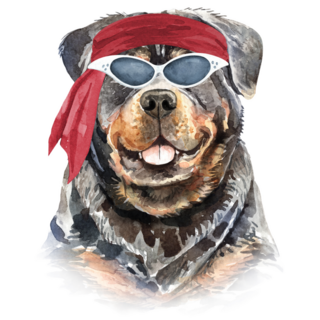 Biker Rottweiler Sticker