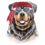 Biker Rottweiler Sticker