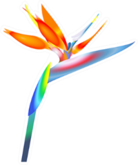 Bird Of Paradise Flower Sticker