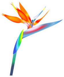 Bird Of Paradise Flower Sticker