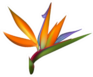 Bird Of Paradise Tropical Flower Up Close Sticker