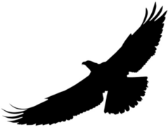 Bird of Prey Silhouette Sticker