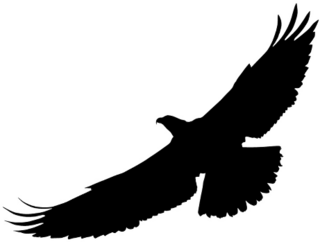 Bird of Prey Silhouette Sticker