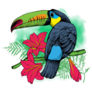 Bird Toucan On A Exotic Leaf And Flowers Sticker