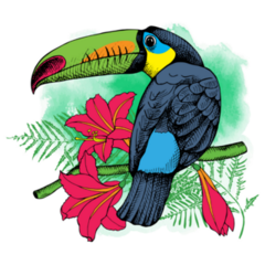 Bird Toucan On A Exotic Leaf And Flowers Sticker