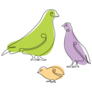 Birds Family Sticker Sheet