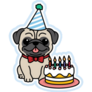 Birthday Cake Pug Sticker