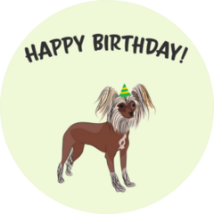 Birthday Crested Dog Sticker