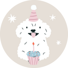 Birthday Maltese Sticker