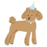 Birthday Poodle Sticker