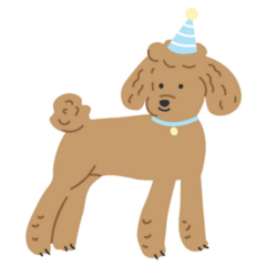 Birthday Poodle Sticker