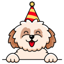 Birthday Shih Tzu Sticker