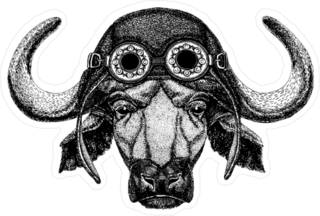 Bison Aviator Sticker