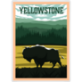 Bison On Yellowstone National Park Wyoming Sticker