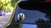 Black And Brown Llama Close Up Sticker on a Rear Car Window (New) example