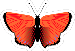 Black and Red Butterfly Sticker
