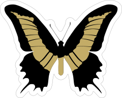 Black and Tan Butterfly Sticker