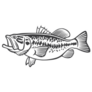 Black and White Bass Fish Illustration