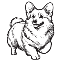Black And White Corgi Sticker
