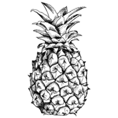 Black and White Detailed Illustration of Pineapple Fruit