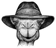 Black And White Engrave Isolated Camel Illustration Sticker
