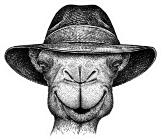 Black And White Engrave Isolated Camel Illustration Sticker