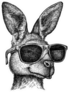 Black And White Engrave Kangaroo Illustration Sticker