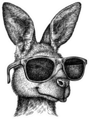 Black And White Engrave Kangaroo Illustration Sticker